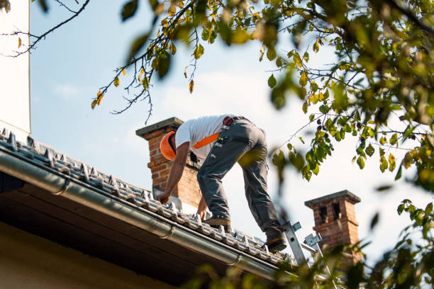 Best New Roof Installation  in Winchester, TN
