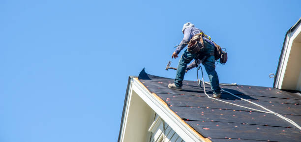 Best Roof Gutter Cleaning  in Winchester, TN